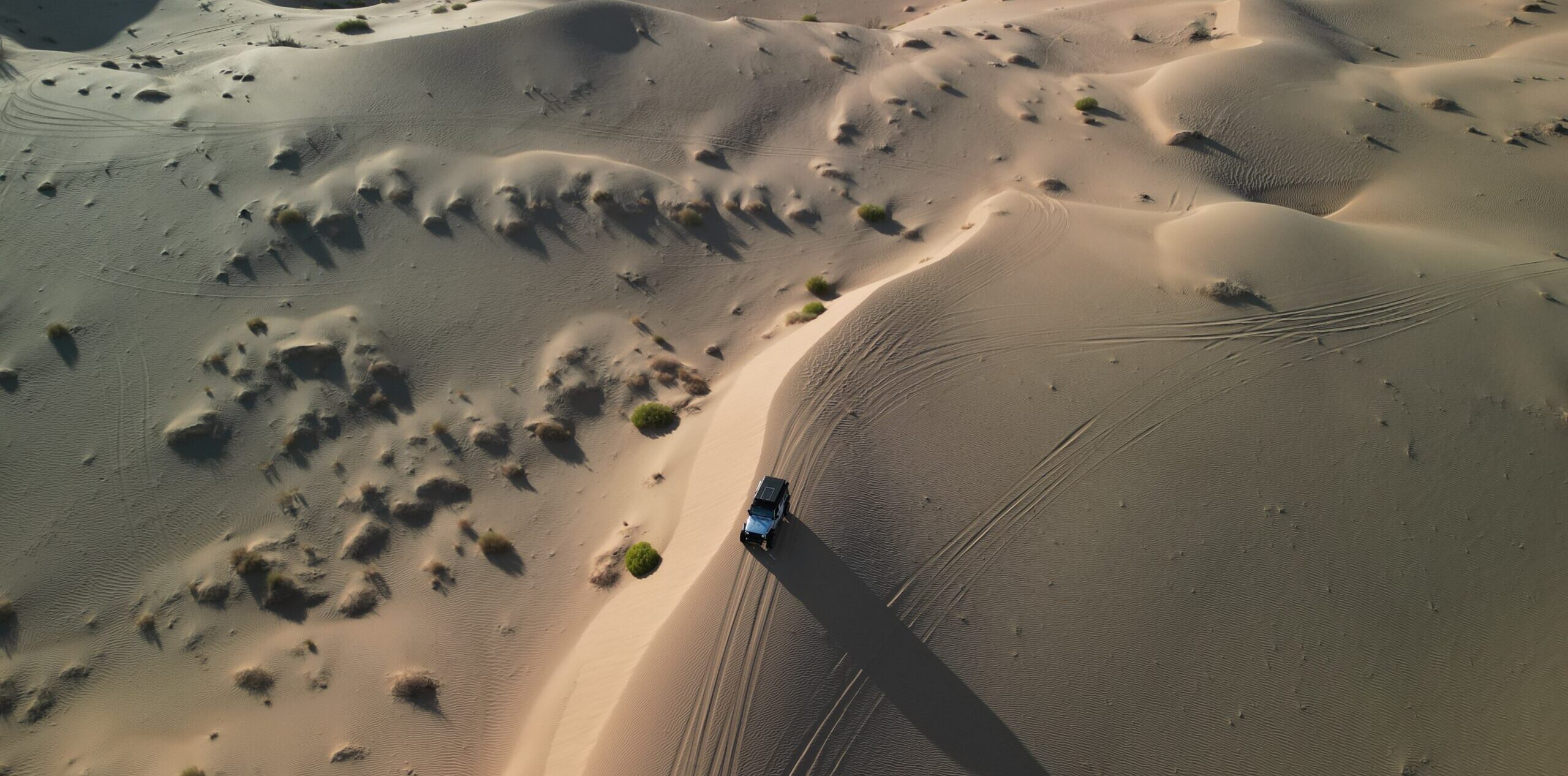 Desert