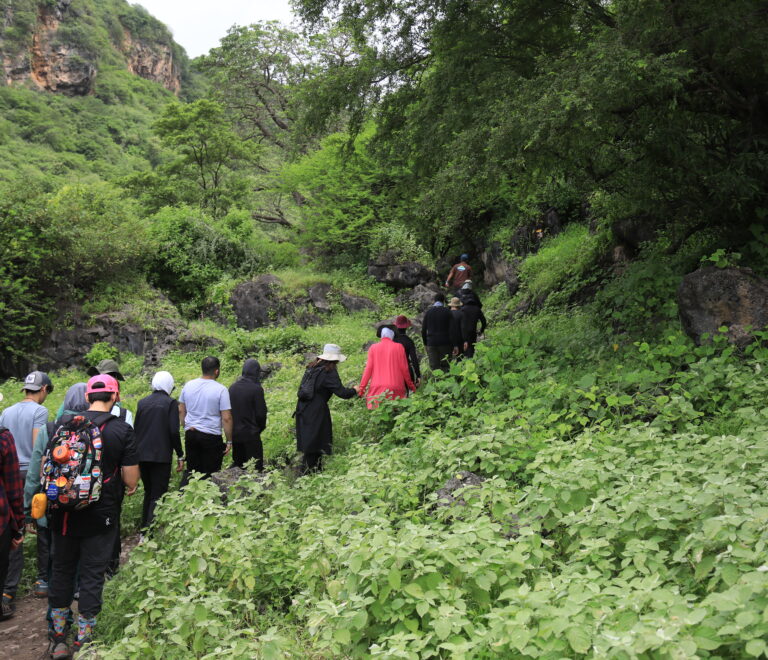 Guided hiking group walking through lush green mountains in Salalah Oman during adventure tour